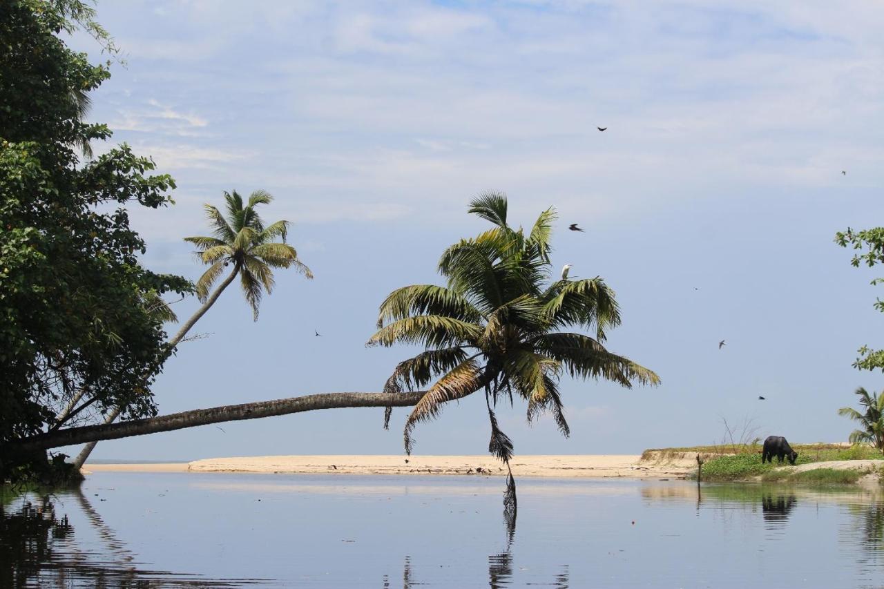 Telma Beach Homestay Mararikulam Exteriér fotografie