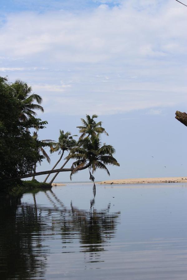 Telma Beach Homestay Mararikulam Exteriér fotografie