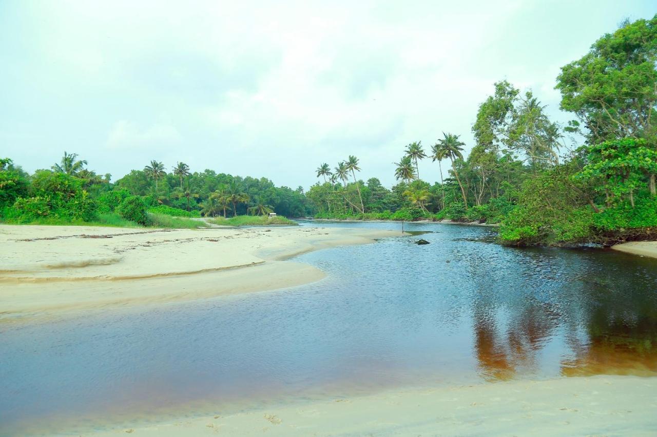 Telma Beach Homestay Mararikulam Exteriér fotografie