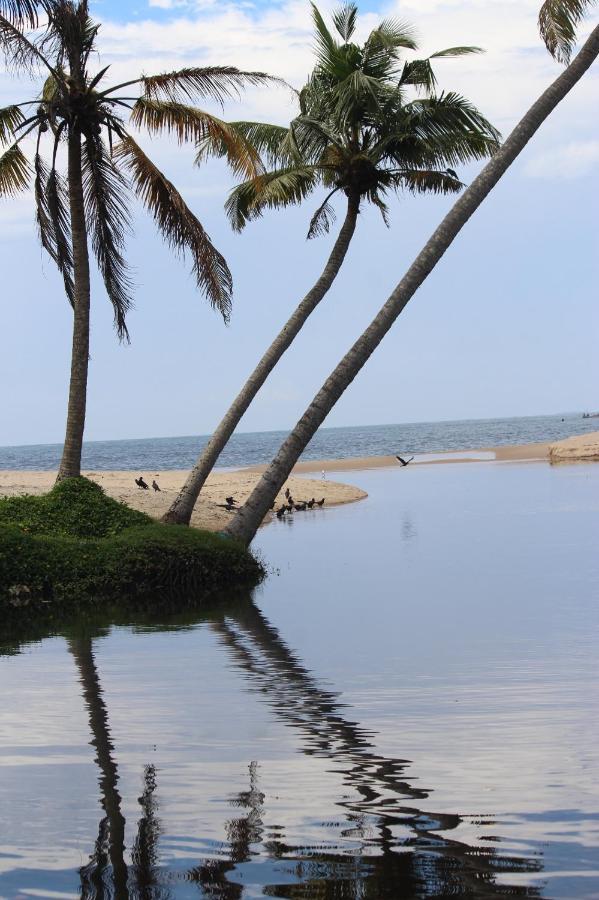 Telma Beach Homestay Mararikulam Exteriér fotografie