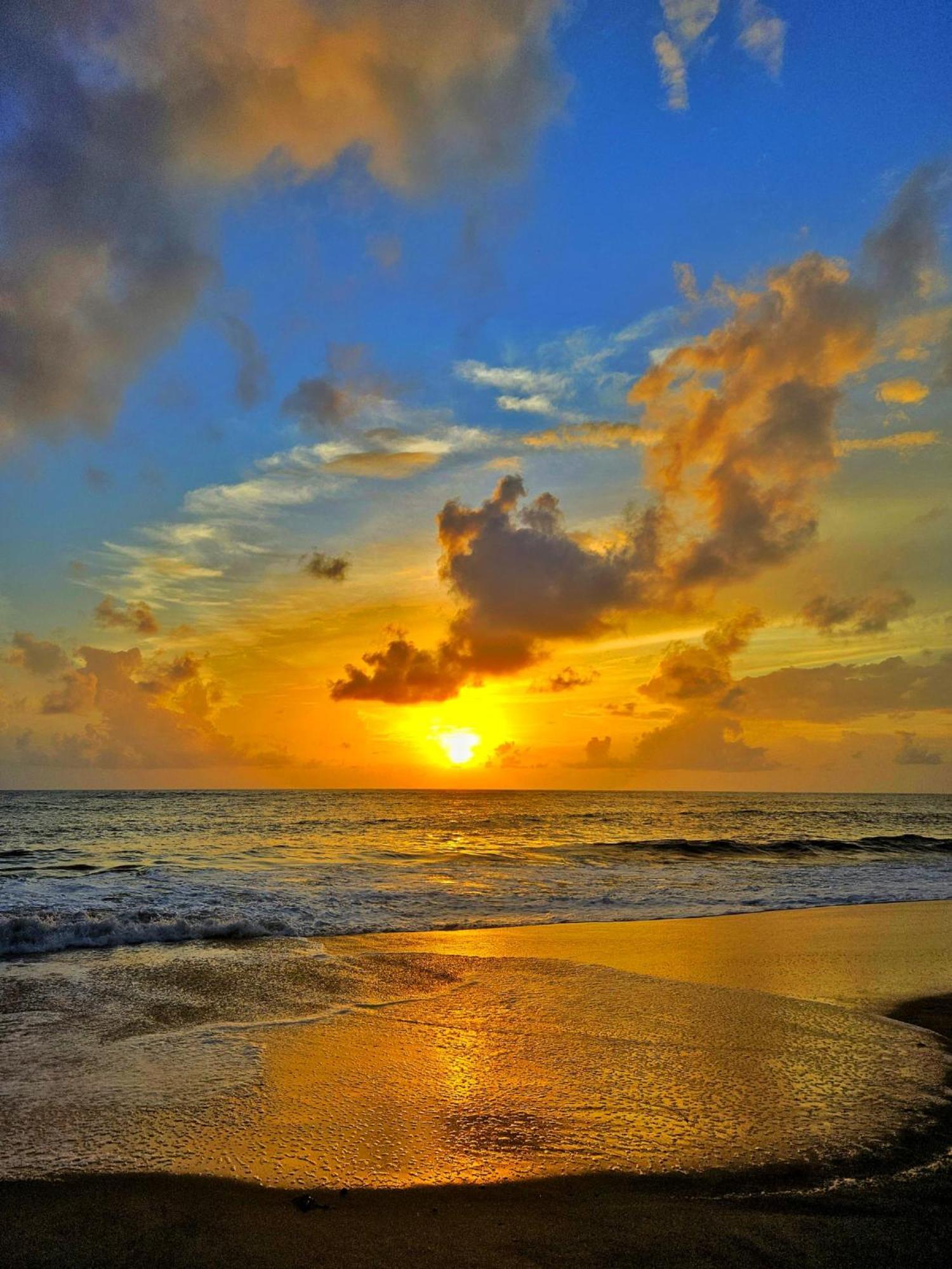 Telma Beach Homestay Mararikulam Exteriér fotografie